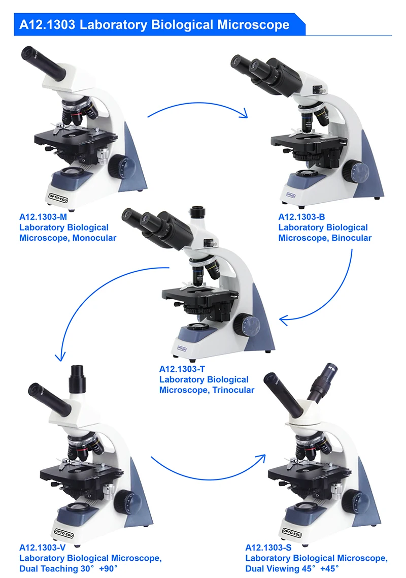 OPTO-EDU A12.1303-B 40x~1000x  - Medical Laboratories review and price